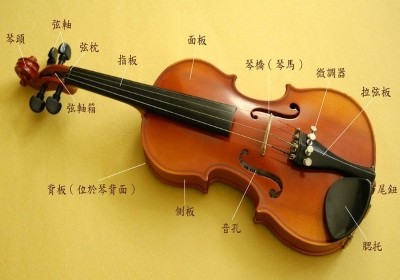 小提琴班（自带琴）（中小学生）/宋晓燕/周六上午8:30-10:00