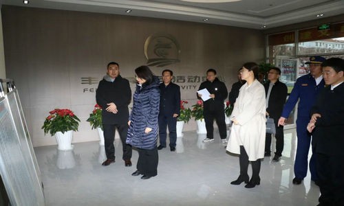 承德市政府副市长甄毓敏一行来丰宁青少年活动中心督导检查活动场所安全情况