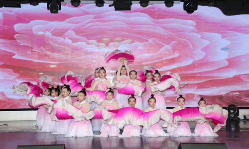 丰宁满族自治县教育和体育局举办2023年直属小学艺术比赛